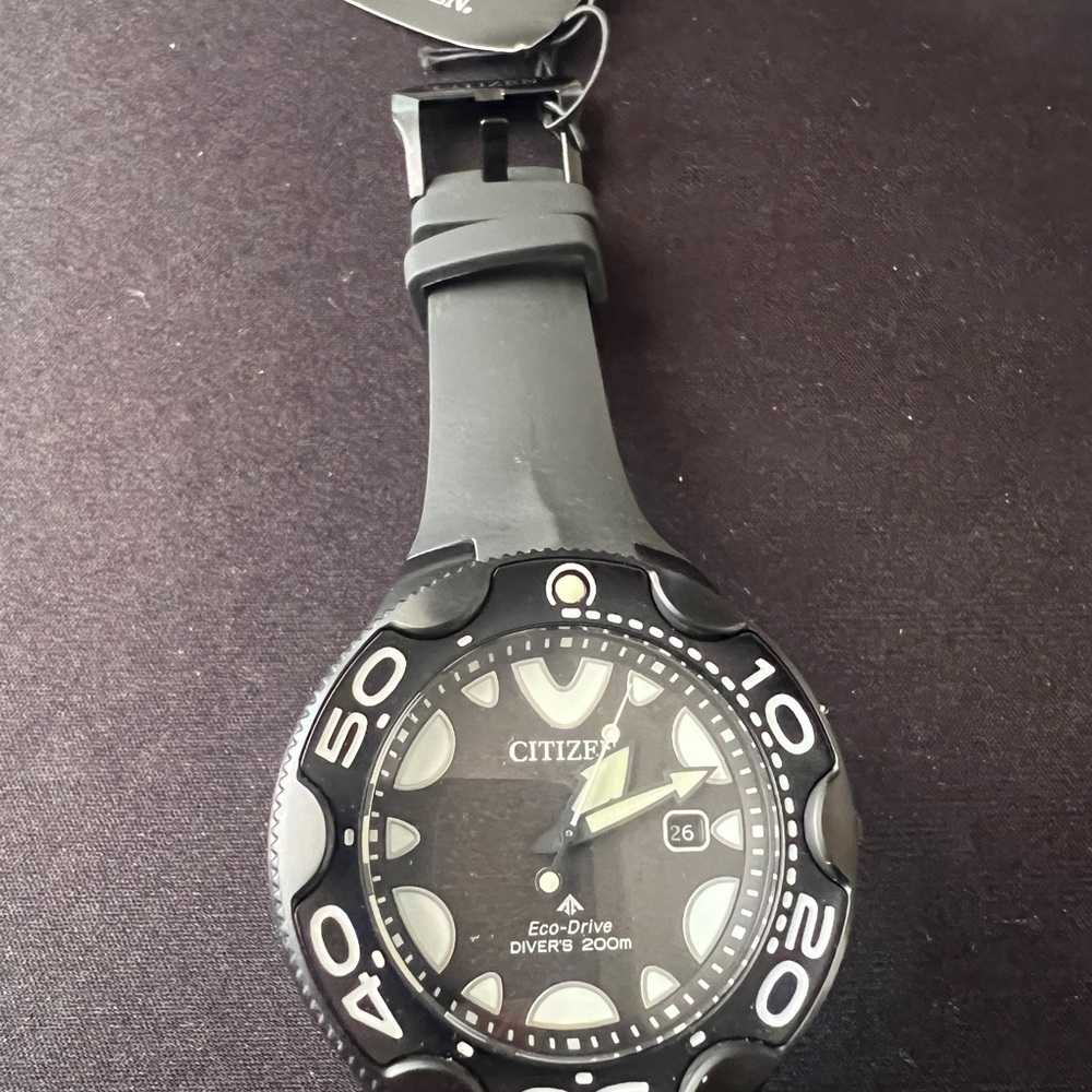 Citizen Promaster Eco-Drive Black and Silver Dive Watch, new with tag